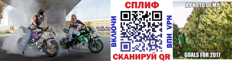 Канабис планчик  Камбарка 